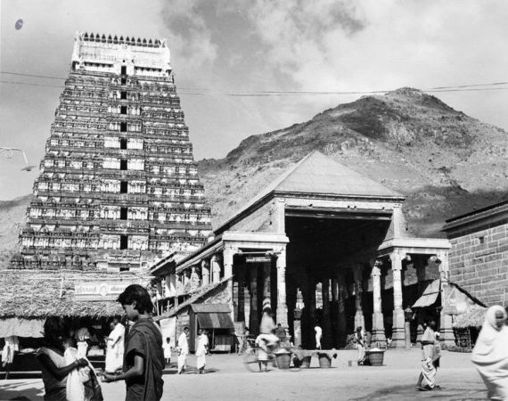 Temple 12728989 656505947821270 342412844918088789 n-06.jpg