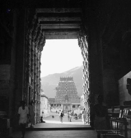 Temple 1470696520-01.jpg