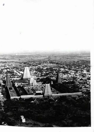 Temple 19748361 2006901806259236 8724467506837788907 n-07.jpg