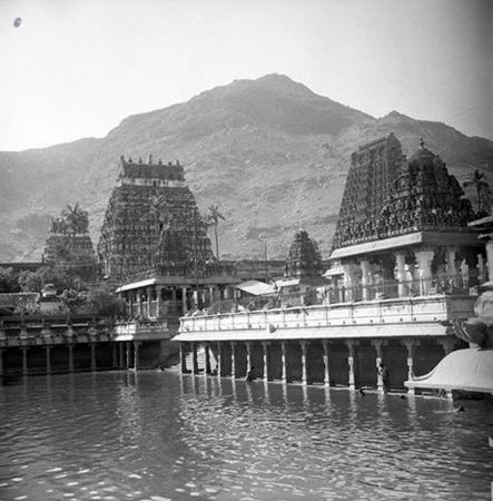 Temple 48630824-17.jpg