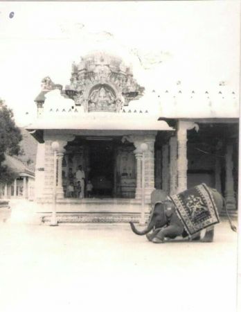 Temple IMG-20171120-WA0024-45.jpg