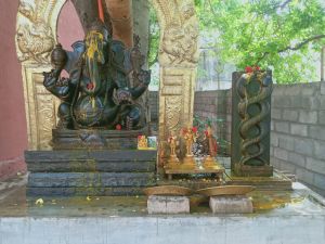 WhatsApp Image 2021-07-08 at 10.05.57 PM (1).jpeg