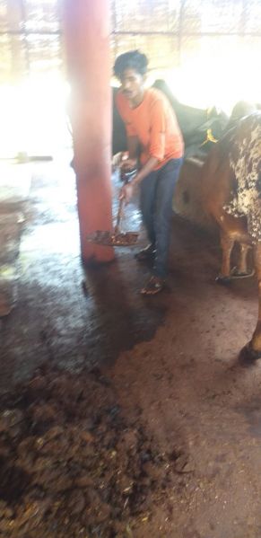 File:WhatsApp Image 2021-10-03 at 19.15.50.jpeg