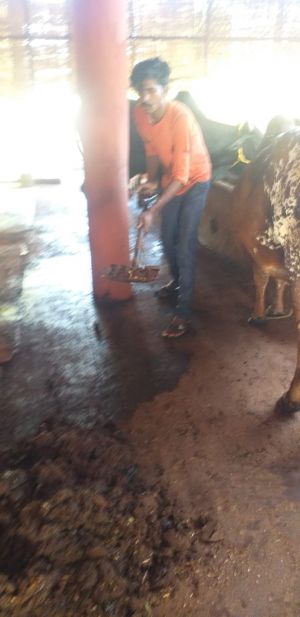 WhatsApp Image 2021-10-03 at 19.15.50.jpeg