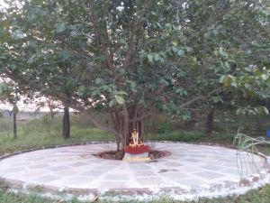 WhatsApp Image 2021-11-25 at 17.38.33.jpeg