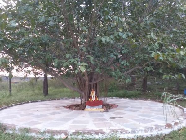 WhatsApp Image 2021-11-25 at 17.38.33.jpeg