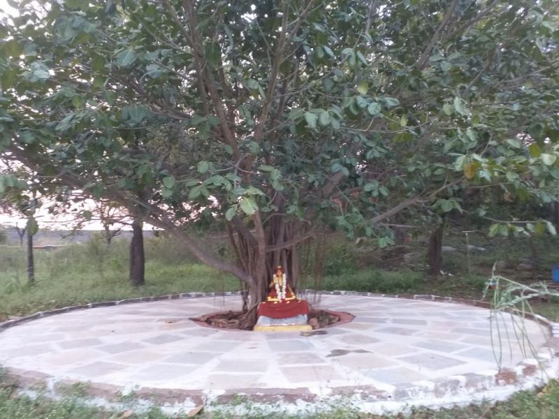 File:WhatsApp Image 2021-11-25 at 17.38.33.jpeg