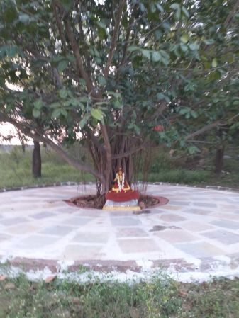 WhatsApp Image 2021-11-25 at 17.38.36.jpeg