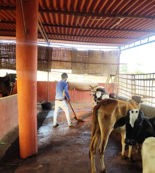 File:WhatsApp Image 2021-12-11 at 13.42.24 (4).jpeg