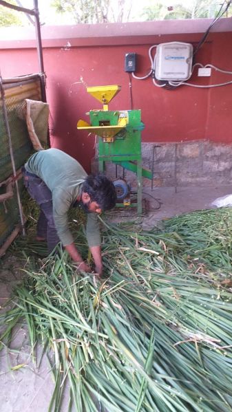 File:WhatsApp Image 2021-12-17 at 17.15.14.jpeg