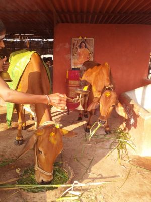 WhatsApp Image 2021-12-25 at 08.36.21 (1).jpeg