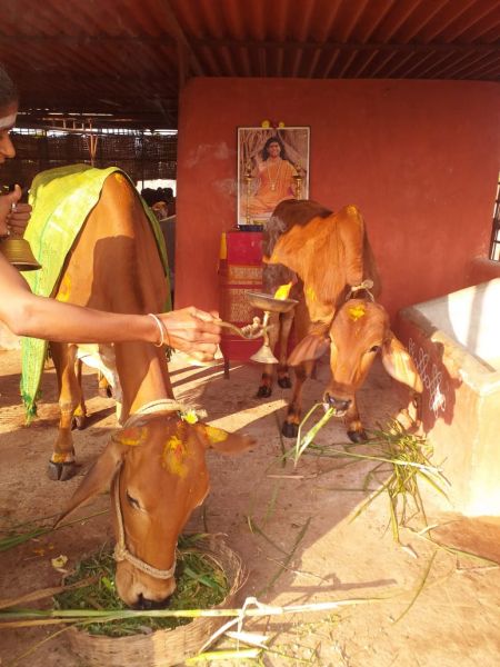 File:WhatsApp Image 2021-12-25 at 08.36.21 (1).jpeg