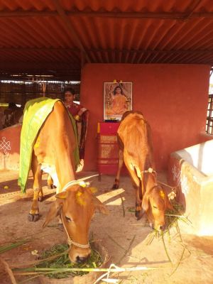 WhatsApp Image 2021-12-25 at 08.36.22 (2).jpeg