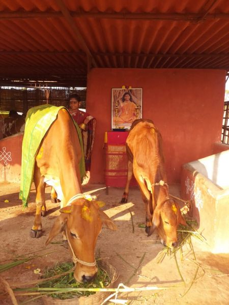 File:WhatsApp Image 2021-12-25 at 08.36.22 (2).jpeg