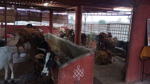 WhatsApp Image 2021-12-26 at 17.45.07.jpeg