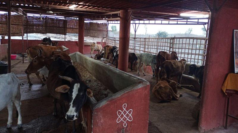 WhatsApp Image 2021-12-26 at 17.45.07.jpeg