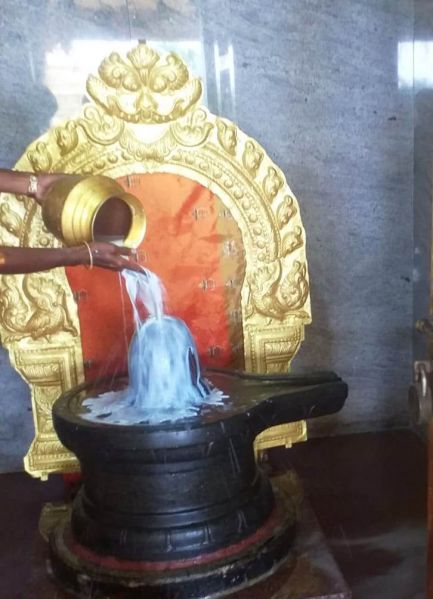 File:WhatsApp Image 2021-12-27 at 11.10.19.jpeg