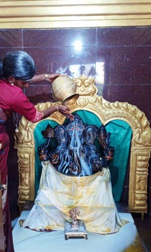 WhatsApp Image 2021-12-29 at 16.15.51.jpeg