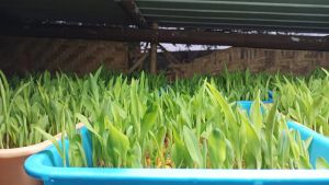 WhatsApp Image 2021-12-29 at 17.58.16.jpeg