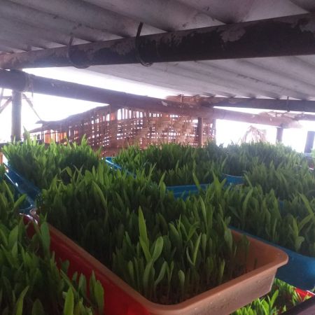 WhatsApp Image 2021-12-30 at 08.22.38 (1).jpeg