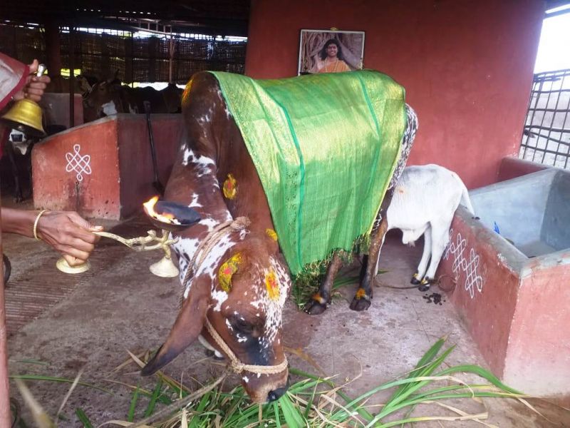 File:WhatsApp Image 2021-12-30 at 08.44.53.jpeg