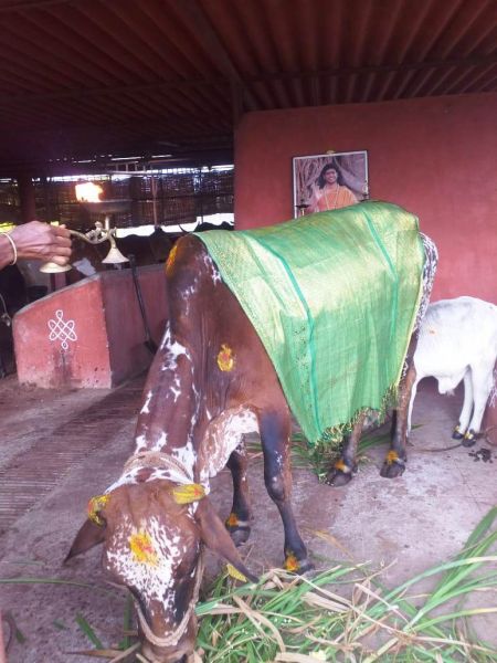 File:WhatsApp Image 2021-12-30 at 08.44.54 (1).jpeg