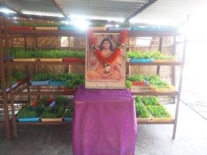 WhatsApp Image 2021-12-30 at 15.59.50 (1).jpeg