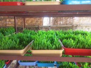 WhatsApp Image 2021-12-30 at 15.59.51.jpeg