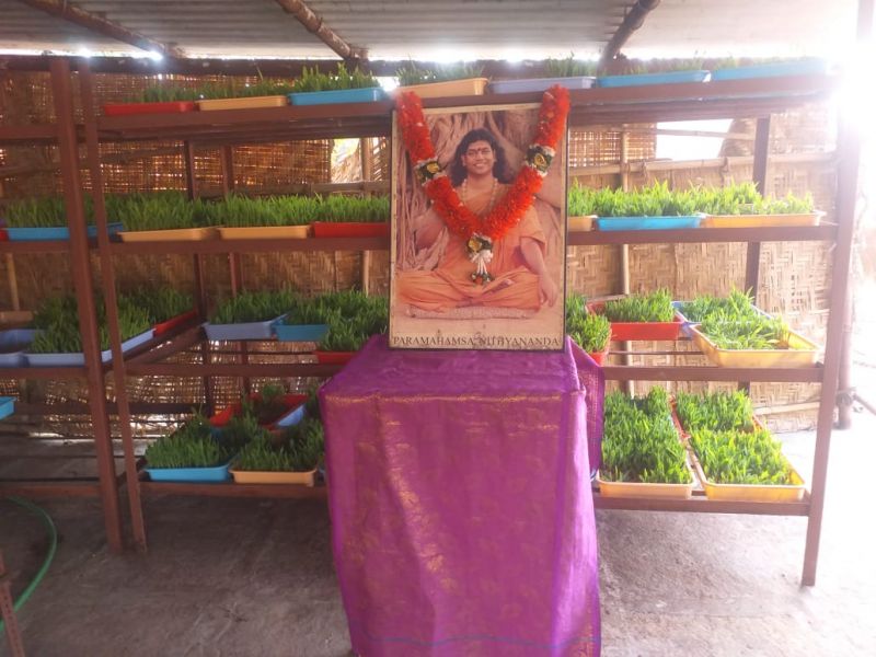 File:WhatsApp Image 2021-12-30 at 15.59.56.jpeg