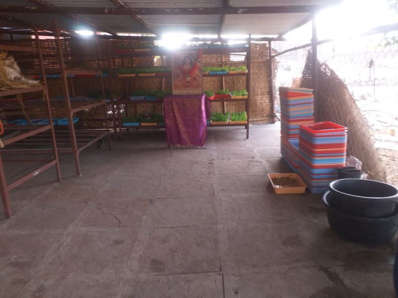 File:WhatsApp Image 2021-12-30 at 15.59.57.jpeg