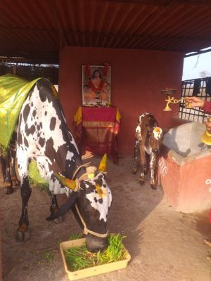 WhatsApp Image 2021-12-31 at 08.44.13.jpeg