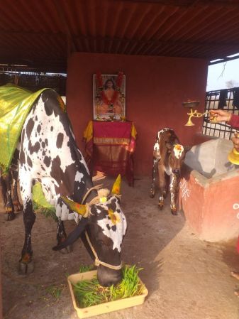 WhatsApp Image 2021-12-31 at 08.44.13.jpeg