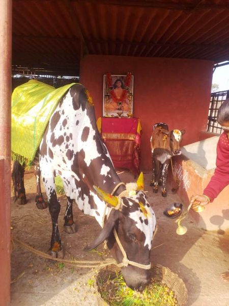 File:WhatsApp Image 2021-12-31 at 08.44.15.jpeg