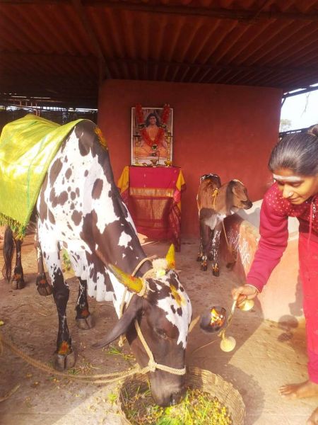 File:WhatsApp Image 2021-12-31 at 08.44.16.jpeg