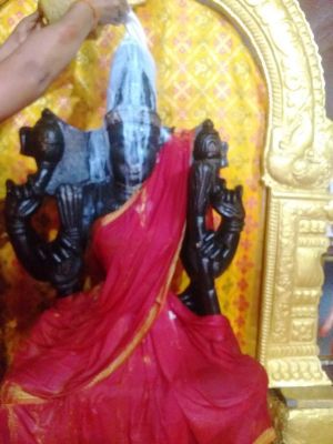 WhatsApp Image 2021-12-31 at 15.03.08.jpeg