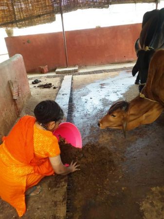 WhatsApp Image 2022-01-01 at 09.49.02.jpeg