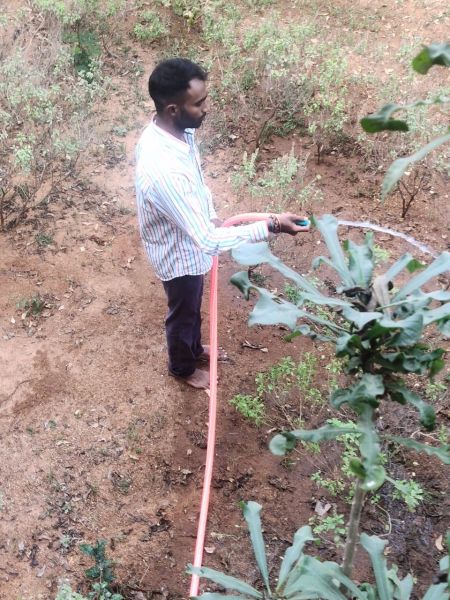 File:WhatsApp Image 2022-01-01 at 15.41.45 (2).jpeg