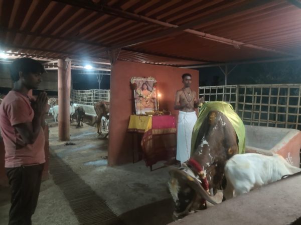 WhatsApp Image 2022-01-01 at 18.57.26.jpeg