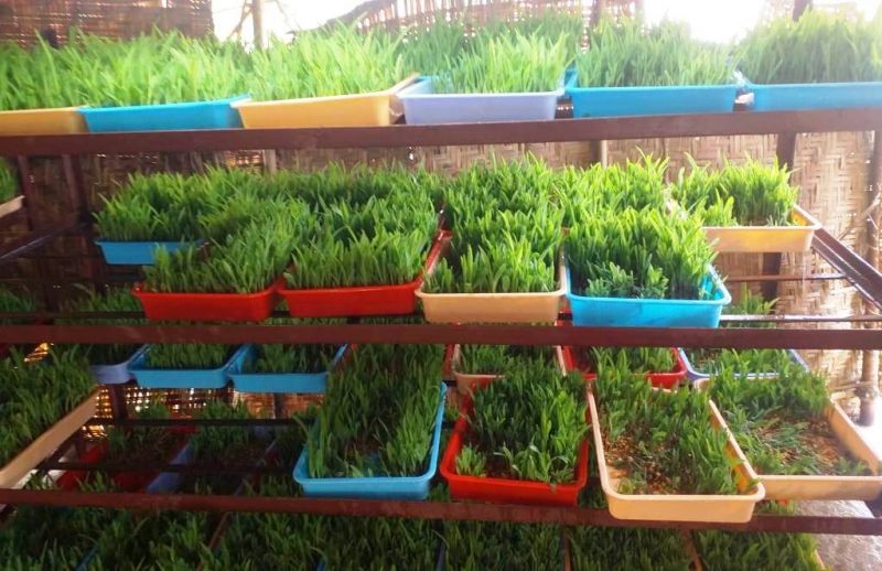 File:WhatsApp Image 2022-01-01 at 21.17.10.jpeg