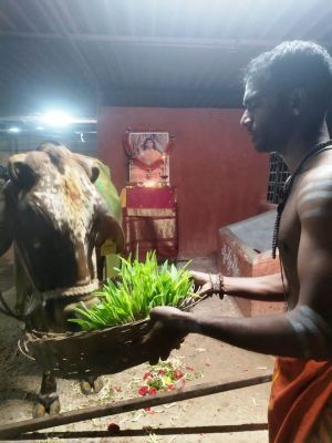 WhatsApp Image 2022-01-02 at 05.53.00.jpeg