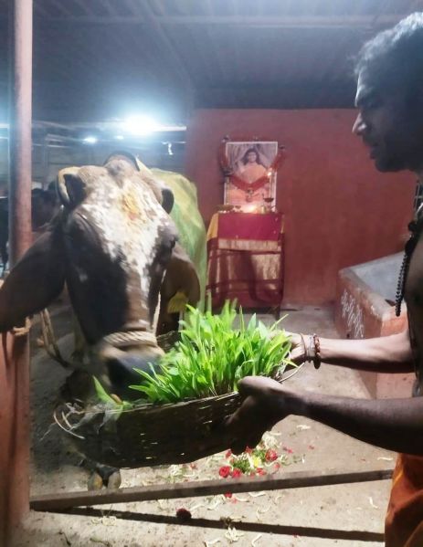 File:WhatsApp Image 2022-01-02 at 05.53.01.jpeg