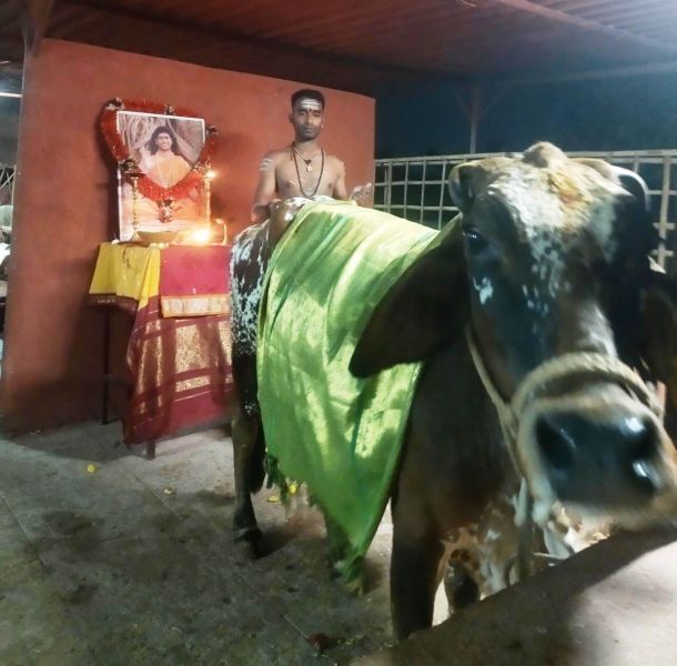 File:WhatsApp Image 2022-01-02 at 05.53.02.jpeg