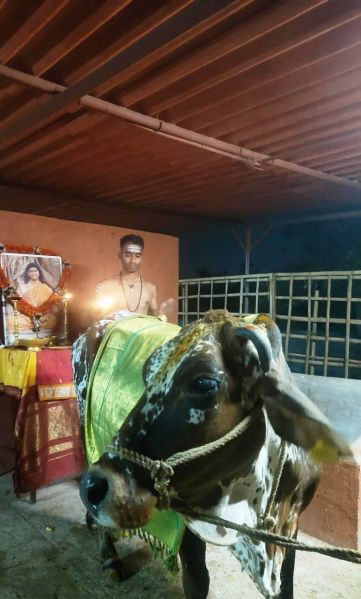 File:WhatsApp Image 2022-01-02 at 05.53.02 (1).jpeg