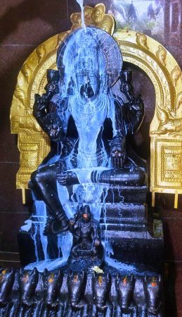 WhatsApp Image 2022-01-02 at 11.34.40 (1).jpeg