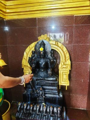 WhatsApp Image 2022-01-02 at 11.34.41.jpeg