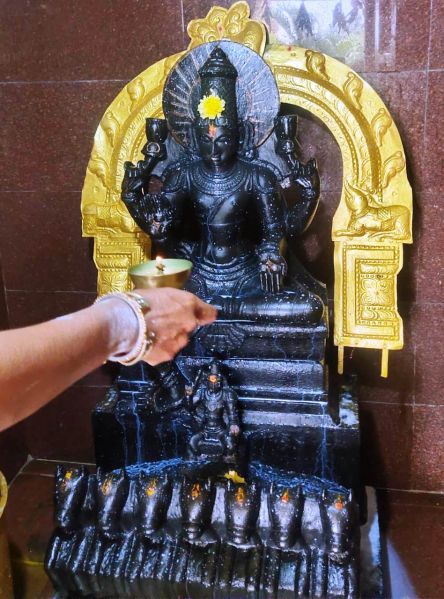 File:WhatsApp Image 2022-01-02 at 11.34.42 (1).jpeg