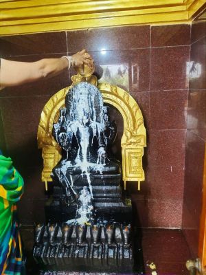 WhatsApp Image 2022-01-02 at 11.34.44.jpeg