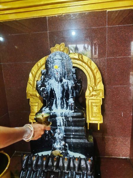 File:WhatsApp Image 2022-01-02 at 11.34.45.jpeg