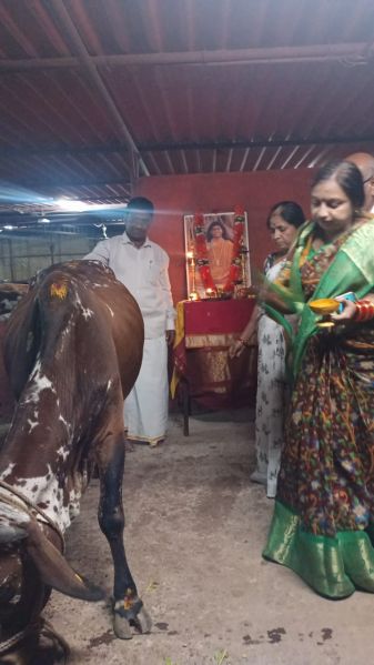 File:WhatsApp Image 2022-01-03 at 19.12.33.jpeg