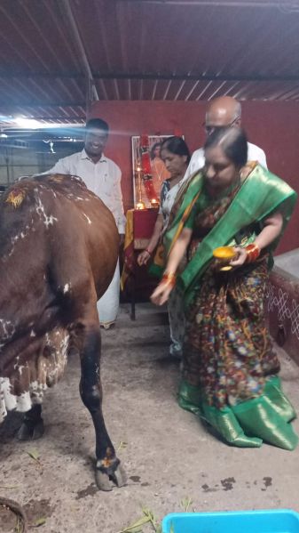 File:WhatsApp Image 2022-01-03 at 19.12.41.jpeg